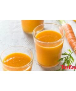 Máy ép trái cây ZC420E38