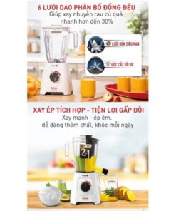 Máy xay sinh tố Tefal - BL42Q166